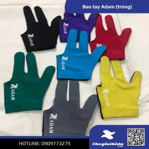 Thumbail Bao tay bida Adam