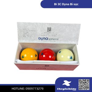 Bi 3C Dyna Bỉ sọc