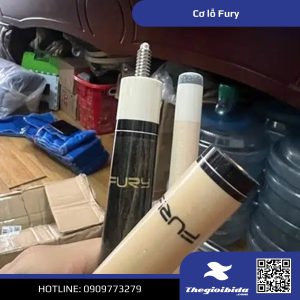 Cơ bida lỗ Fury