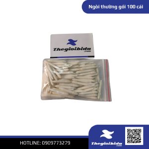 Ngòi thường gói 100 cái