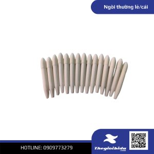 Ngòi thường lẻ