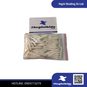 Ngòi thường lẻ