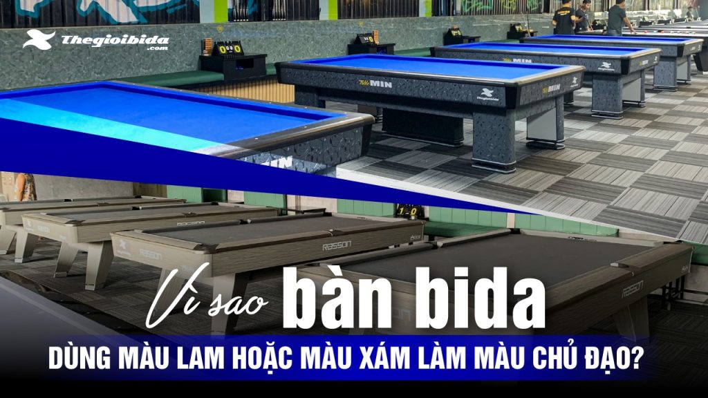 Vì sao bàn bida dùng màu lam hoặc màu xám làm màu chủ đạo?