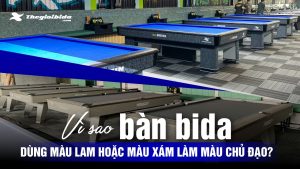 Vì sao bàn bida dùng màu lam hoặc màu xám làm màu chủ đạo?
